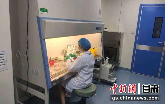 团队成员在做实验。