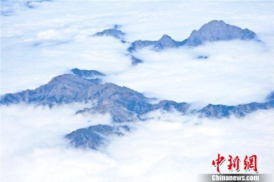 甘肃省高楼山现“云海”景观,飘逸的云雾在峰林间蜿蜒萦绕。 王将 摄