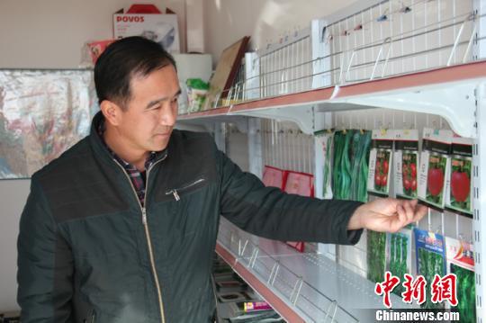 资料图。图为王富才在介绍自己研发的蔬菜品种。 张玲 摄