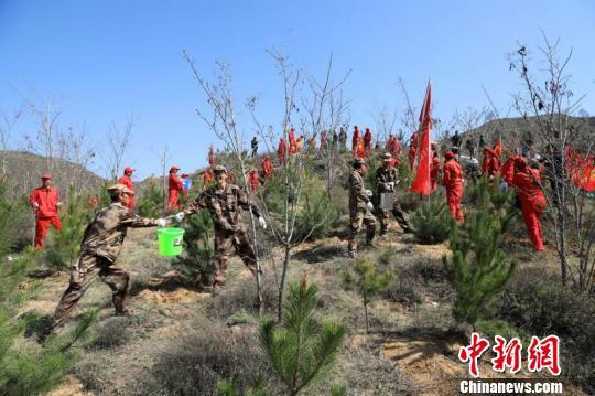4月下旬,随着长庆油田采油二厂在甘肃庆城县马岭镇启动“马岭碳汇林”建设,职工们义务植树已栽植了苗木6300余株。 李忠斌 摄