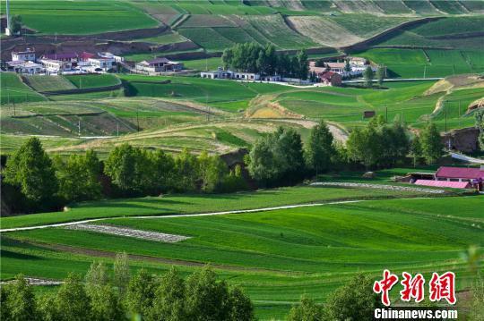 图为6月10日,祁连山北麓的甘肃民乐县,美景如画。 王将 摄