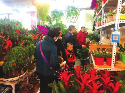 选购鲜花的市民络绎不绝