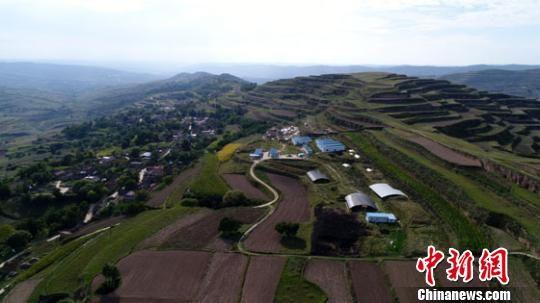 资料图。图为甘肃马家塬战国墓地全景。甘肃省文物考古研究所供图