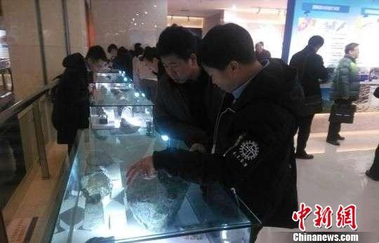 资料图:2018年1月11日,“十二五”甘肃省国土资源厅地质勘查成果交流会在兰州举行。图为活动现场,参观者对矿产样石进行讨论。艾庆龙 摄