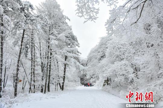 资料图。1月28日,甘肃天水市迎来2018年第三轮降雪。 陈治平 摄