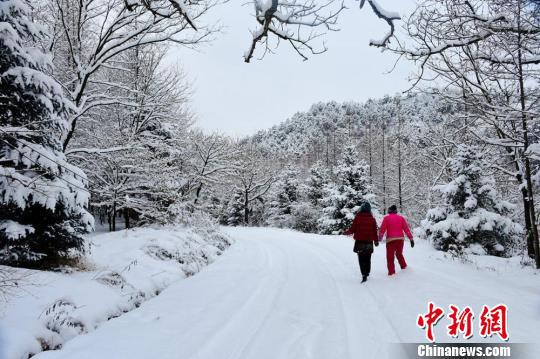 资料图。1月28日,甘肃天水市迎降雪天气,对出行造成不利影响。 陈治平 摄