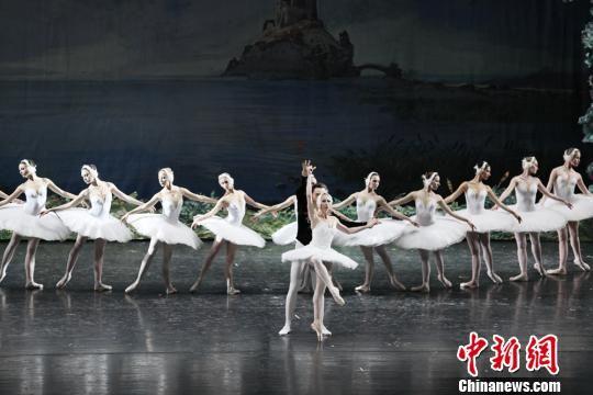 图为古典芭蕾舞剧《天鹅湖》剧照。 张玉学 摄