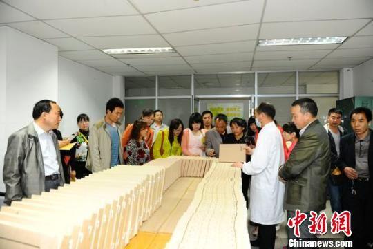 资料图:甘肃省档案局工作人员学习档案整理技巧。 黄静 摄