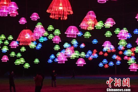 水母灯光秀色彩斑斓。 杨艳敏 摄