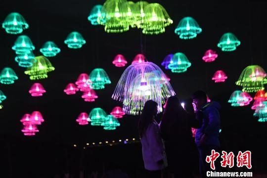 夜色中的水母灯光秀格外迷人。 杨艳敏 摄