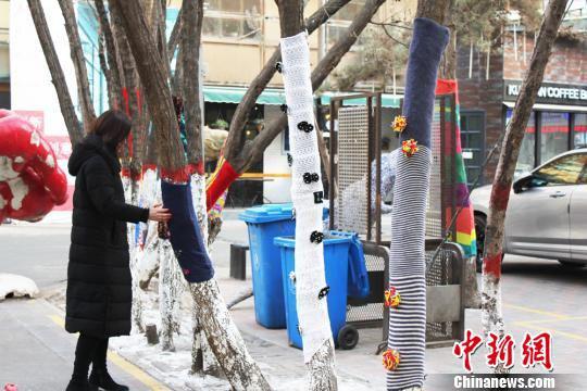 图为“时尚范儿”十足的树木。 徐雪 摄