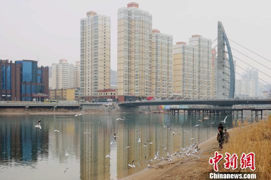 图为成群的候鸟吸引游人观赏。 侯奇志 摄