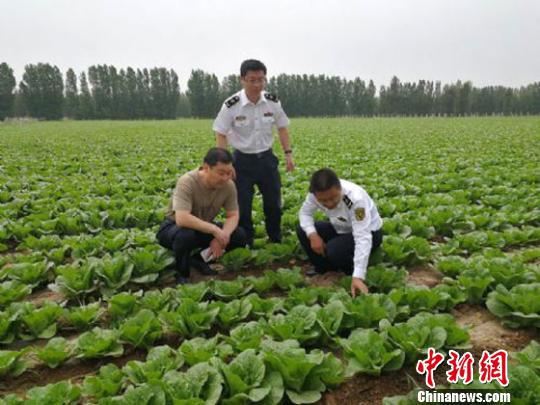 资料图。甘肃出入境检验检疫局工作人员前往备案企业进行调研。 钟欣 摄