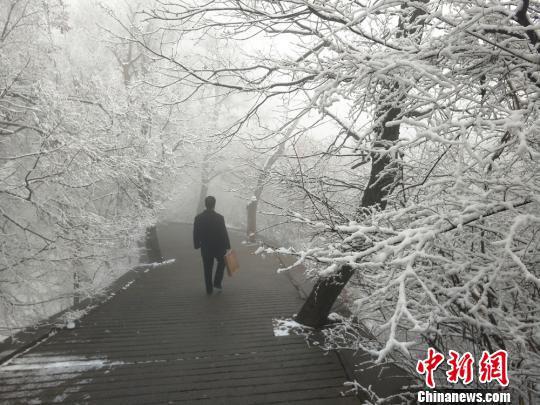 图为游人雪后游山。 徐振华 摄