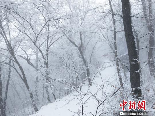 3月6日,甘肃平凉崆峒山景区,雪后漫山银装素裹,云山雾绕。 徐振华 摄