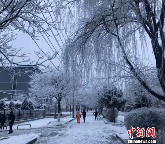 1月5日,甘肃武威市古浪县落雪后银装素裹。 钟欣 摄