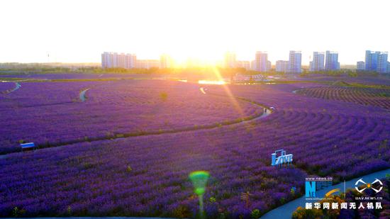 金昌:8月;
