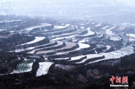 大雪纷纷扬扬,高山更高了,田野更广了。窦苗苗 摄