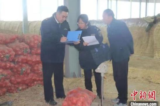 图为兰州海关工作人员检验进出口农产品