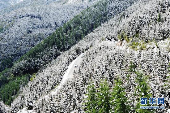 5月9日,两辆汽车行驶在雪后的宕昌县毛羽山中。