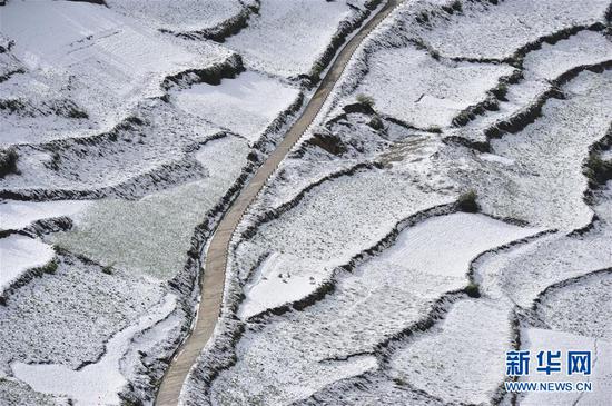 5月9日,人们在宕昌县毛羽山欣赏雪景。