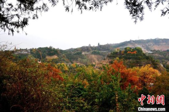 图为兰州市南北两山绿化林一隅的秋景,色彩斑斓。(资料图)兰州市南北两山环境绿化工程指挥部供图