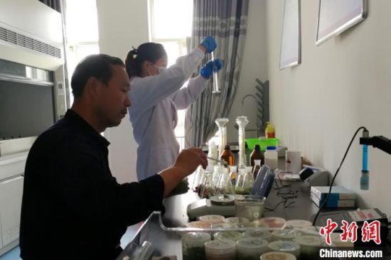 食用农产品样本检测。