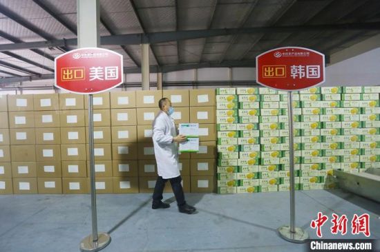 近年来,庆阳农特产品争相出口海外。