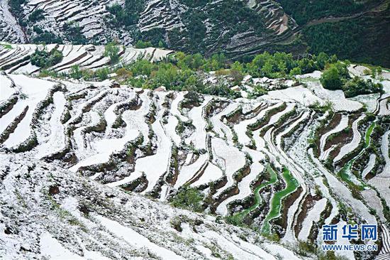 5月9日在宕昌县毛羽山拍摄的雪后梯田。
