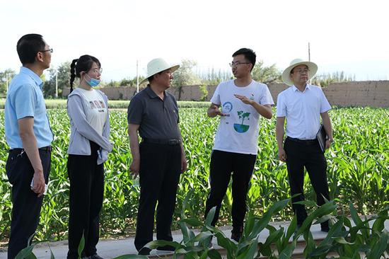 李浩向武威市市委常委、凉州区区委书记鞠毅介绍大田试验。受访者供图