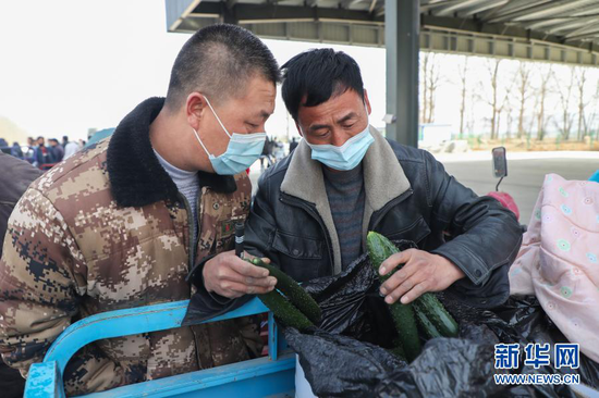 2月4日,在靖远县北湾镇新坪村农贸市场,菜贩胡荣辉(右)查看菜农种植的黄瓜。新华社记者 马希平 摄