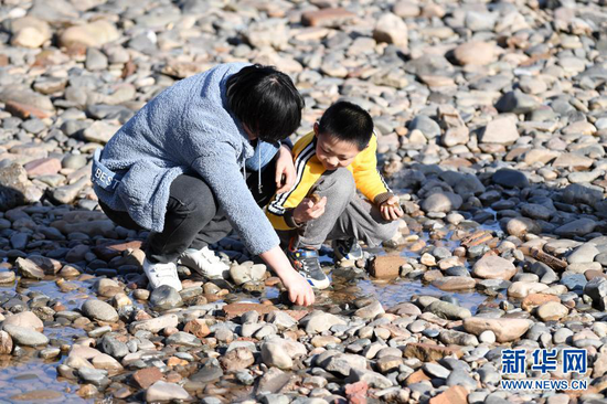 2月18日,市民带着孩子在黄河兰州段河床上捡石头。新华社记者 范培珅 摄