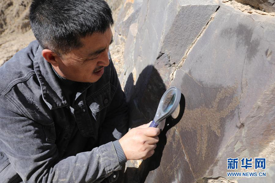 3月22日,杜成峰在甘肃省张掖市肃南裕固族自治县榆木山观察一处岩画。新华社记者 杜哲宇 摄
