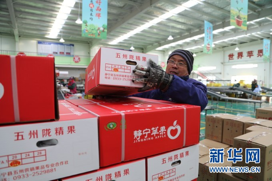 2021年1月12日,在静宁县苹果标准化分选中心,工作人员将打包装箱的苹果摆放整齐。新华社记者 马莎 摄