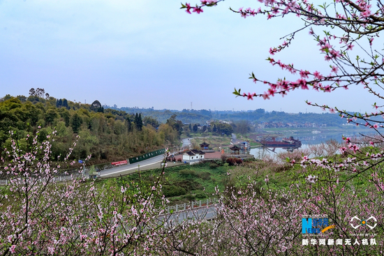 3月8日,华蓥市明月镇明月村渠江边相继绽放的桃花、李花,把“渠江画廊”点缀得格外美丽。新华网发(邱海鹰 摄)