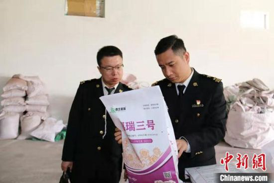 图为兰州海关工作人员对出口种子开展检疫监管。(资料图)兰州海关供图