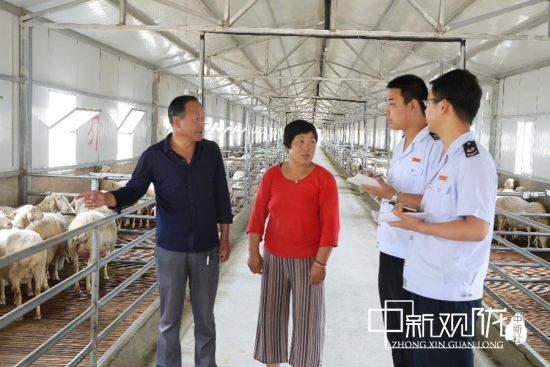 图为税务干部为三岔镇大塬村千只湖羊标准化养殖合作社辅导税收优惠政策,了解合作社养殖情况。(资料图)