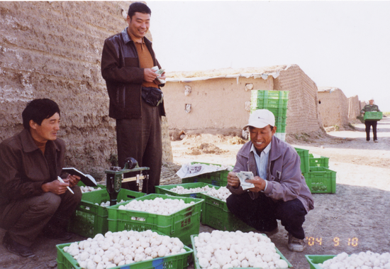 2003年,宁夏彭阳县新集乡。将双孢菇出售后,菇农露出了喜悦的笑容。