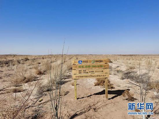 “蚂蚁森林”项目落户古浪县。