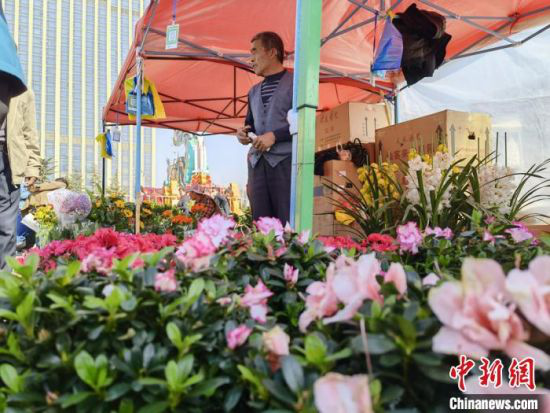 3月10日至3月14日,第四届兰州花卉博览会(简称“花博会”)在甘肃国际会展中心举行。 刘玉桃 摄