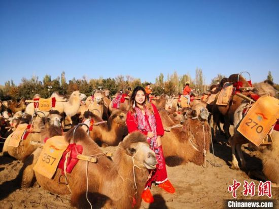 图为台湾大学生来到甘肃敦煌鸣沙山月牙泉景区,体验骑骆驼。 (资料图) 丁思 摄