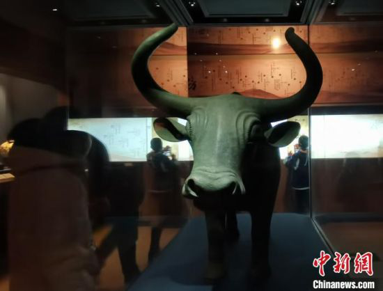 图为甘肃省博物馆展出的国宝级文物铜牦牛复制品。 张婧 摄
