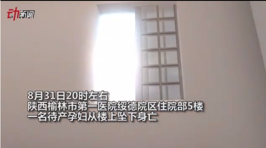 图片来自于视频截图