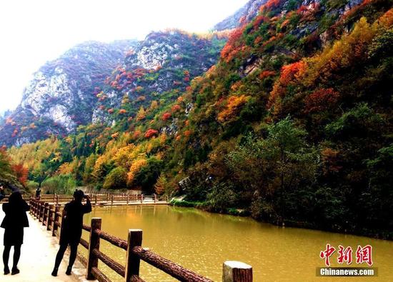 游人驻足赏秋景。