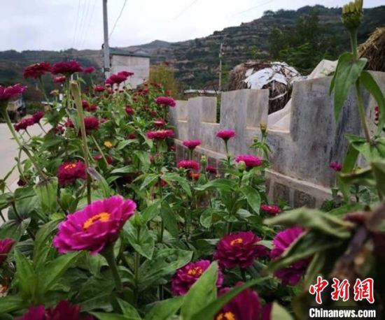 图为兰州市城关区驻甘肃陇南市西和县帮扶队员拍摄乡村一隅。(资料图) 兰州城关区委宣传部供图