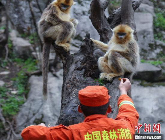 王博悟 摄