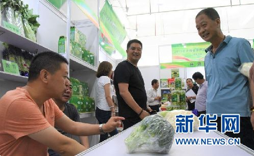 来自甘肃定西渭源县参展企业的工作人员介绍高原夏菜