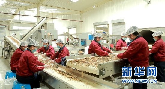 陇西一中药材加工生产车间。甘肃省农业农村厅供图