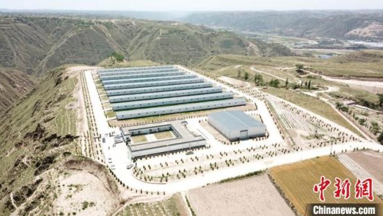 甘肃庆阳中盛农牧建设的现代化肉羊养殖场