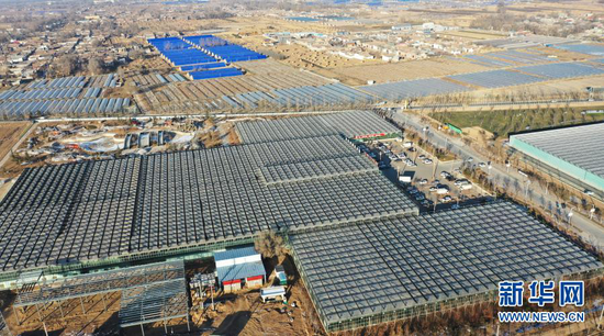 12月21日拍摄的临夏县一农业园区的温室大棚(无人机照片)。新华社发(史有东 摄)